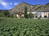 Andorra, tabák